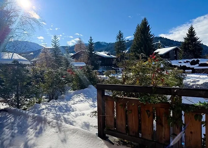 Les Chamois D'arbois, Mont D'arbois, *